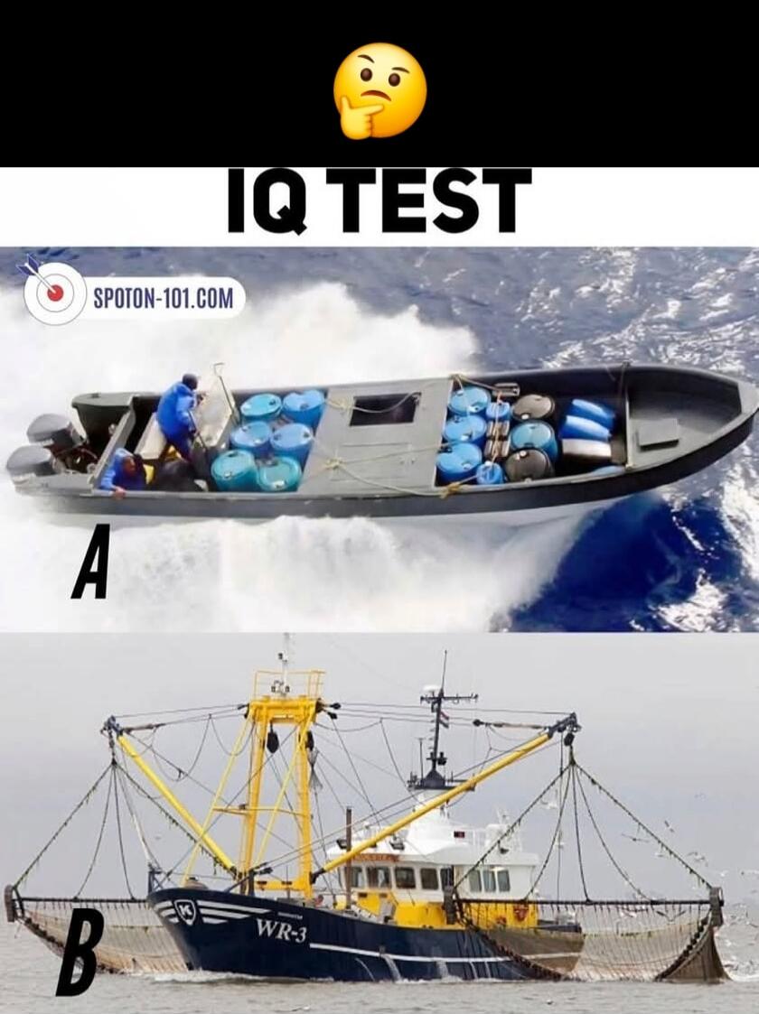 IQ TEST
A
B
SPOTON-101.COM