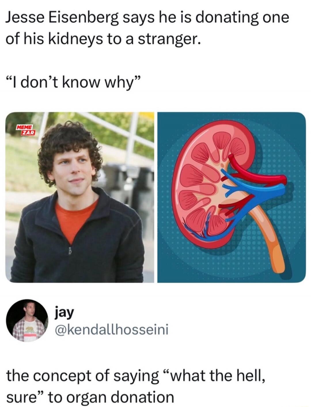 Jesse Eisenberg says he is donating one of his kidneys to a stranger. “I don’t know why” the concept of saying “what the hell, sure” to organ donation