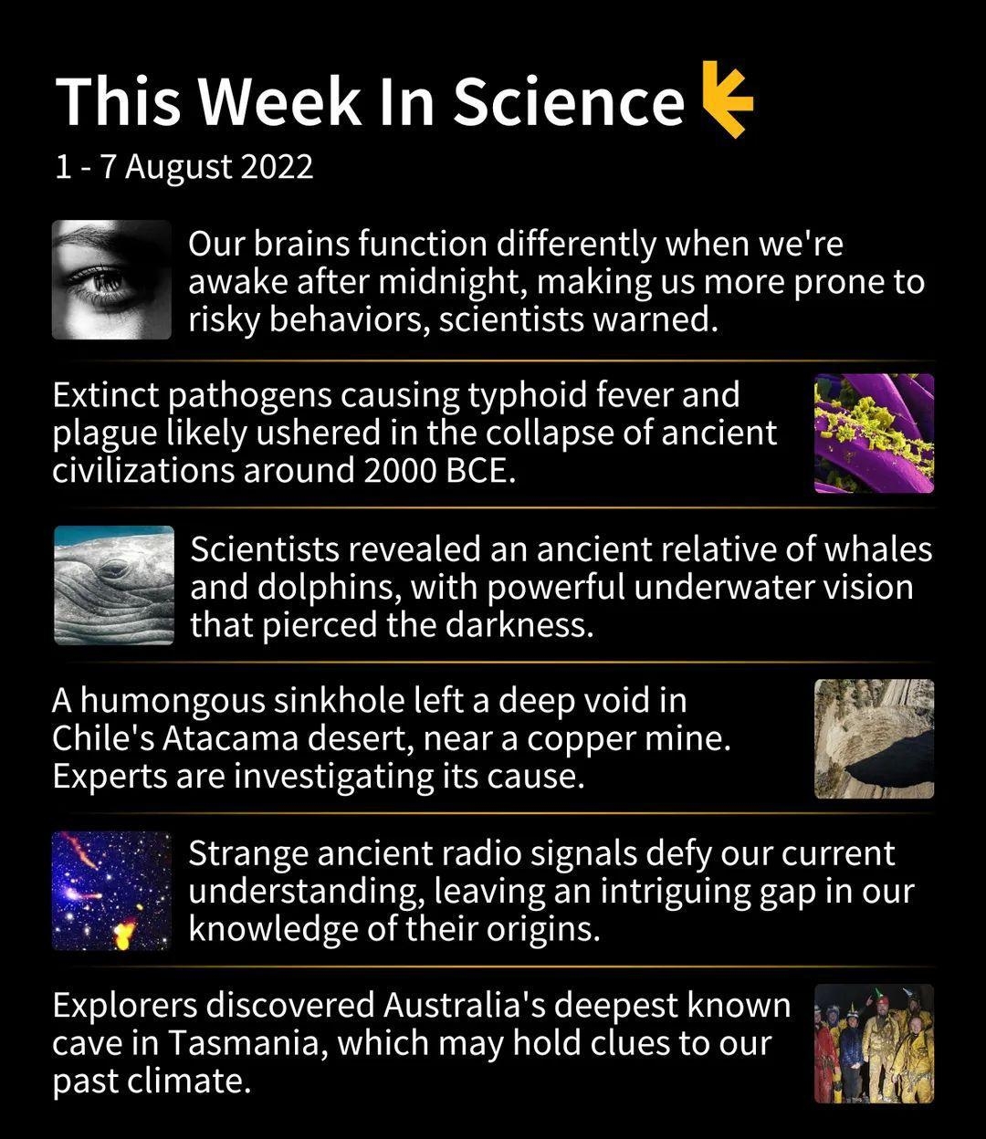 This Week In Science 1 7August 2022 Our brains function differently when were awake after midnight making us more prone to M Ky behaviors scentista warned Extinct pathogens causing typhoid fever and plague likely ushered in the collapse of ancient civilizations around 2000 BCE Scientists revealed an ancient relative of whales and dolphins with powerful underwater vision hat pierced the darkness Ah