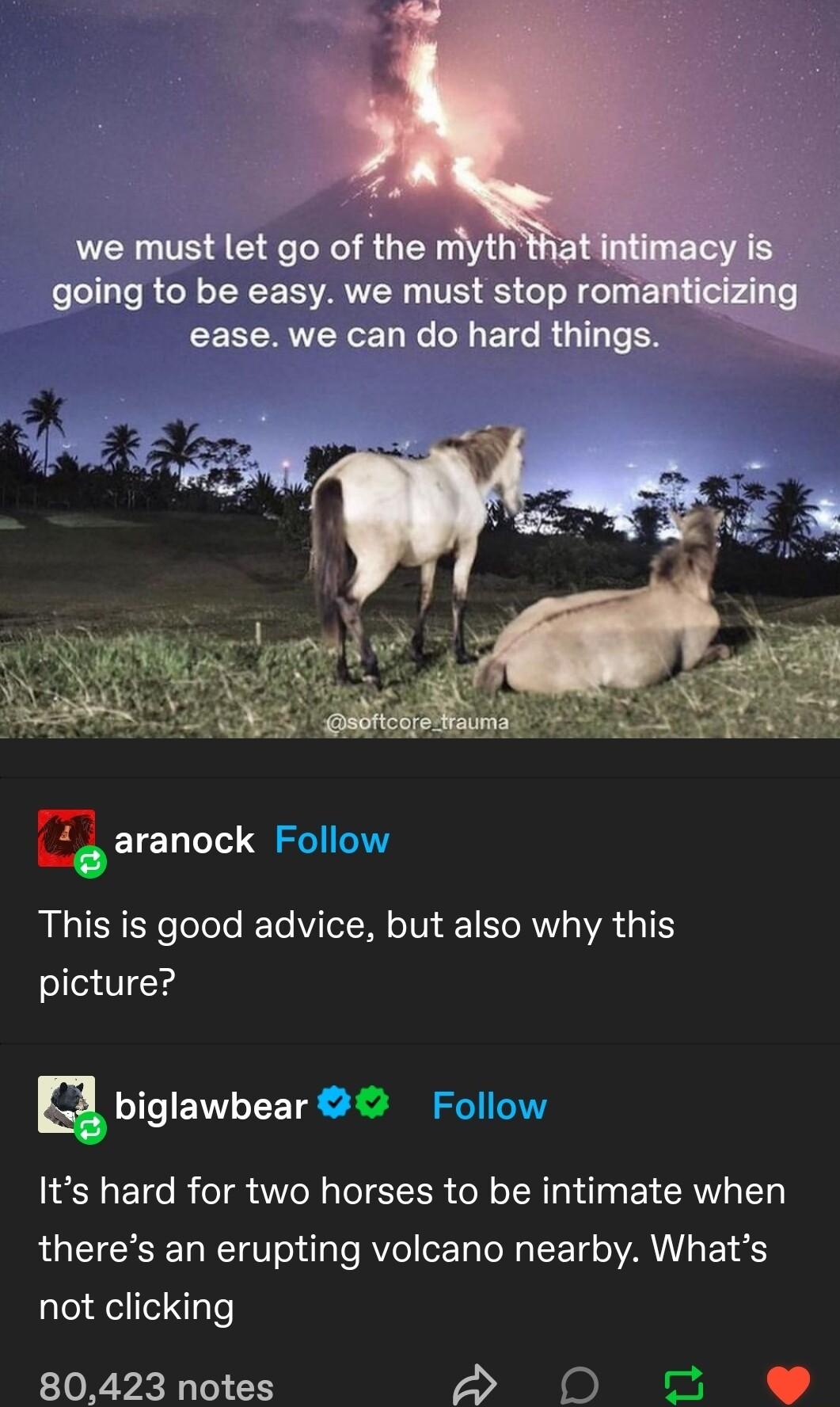 E lz aranock This is good advice but also why this picture g biglawbear Its hard for two horses to be intimate when theres an erupting volcano nearby Whats not clicking 80423 notes P