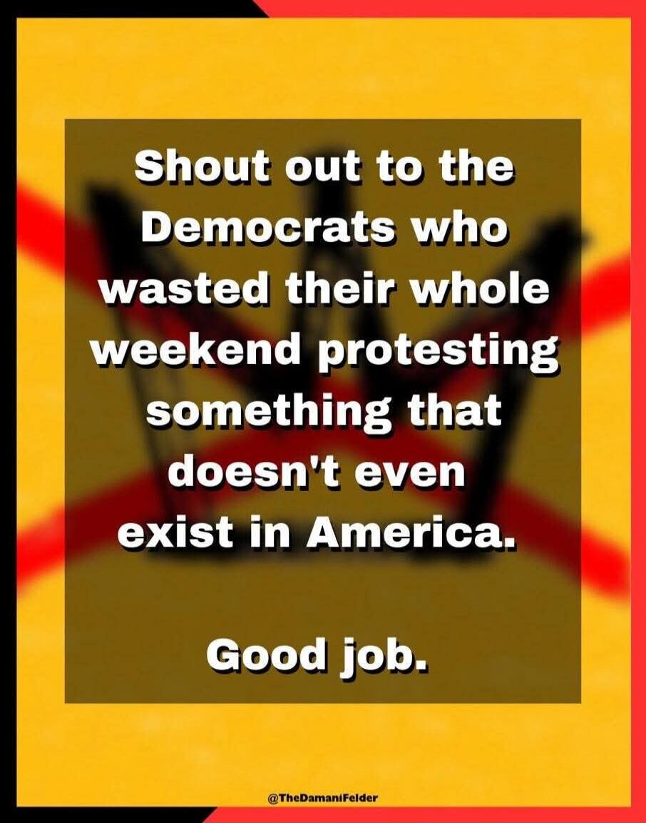 Shout out to the Democrats who wasted their whole weekend protesting something that doesn't even exist in America. Good job. @TheDamaniFelder