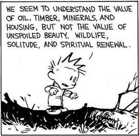 WE SEEM TO UNDERSTAND THE VAWE OF OlL TIMBER MINERALS AND HOUSING BUT NOT THE VALVE OF UNSPOILED BEAUTY WILOLIFE SOLITUDE AND SPIRITUAL RENEWAL