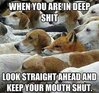 1 IIHIIGIIIAIIEAII KEEPYOUR MOUTH SHUT