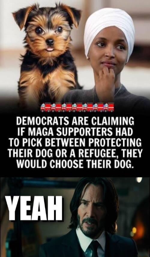 DEMOCRATS ARE CLAIMING IF MAGA SUPPORTERS HAD TO PICK BETWEEN PROTECTING THEIR DOG OR A REFUGEE, THEY WOULD CHOOSE THEIR DOG. YEAH