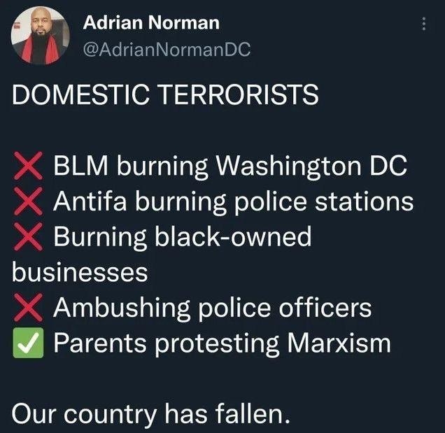 AT ET N CTT T 7 ITETINeIn ETRIBe DOMESTIC TERRORISTS BLM burning Washington DC Antifa burning police stations Burning black owned businesses Ambushing police officers Parents protesting Marxism Our country has fallen