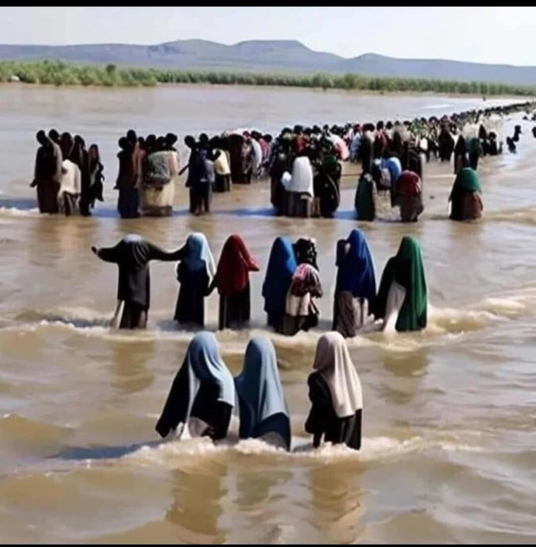 A large group of people standing in a river.