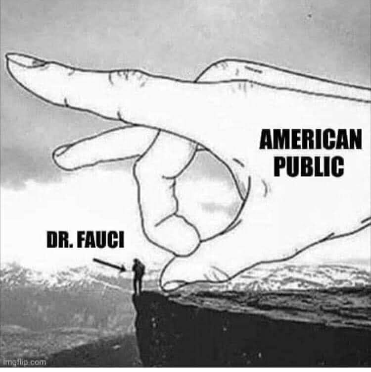 AMERICAN PUBLIC