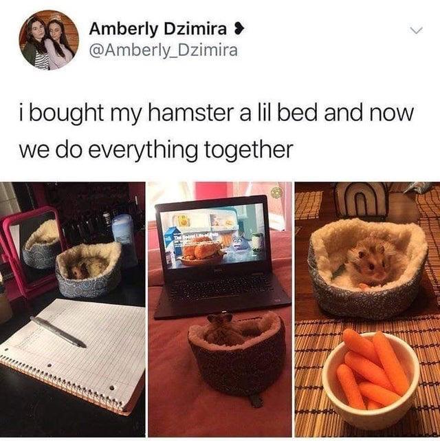 Amberly Dzimira Amberly_Dzimira N i bought my hamster a lil bed and now we do everything together