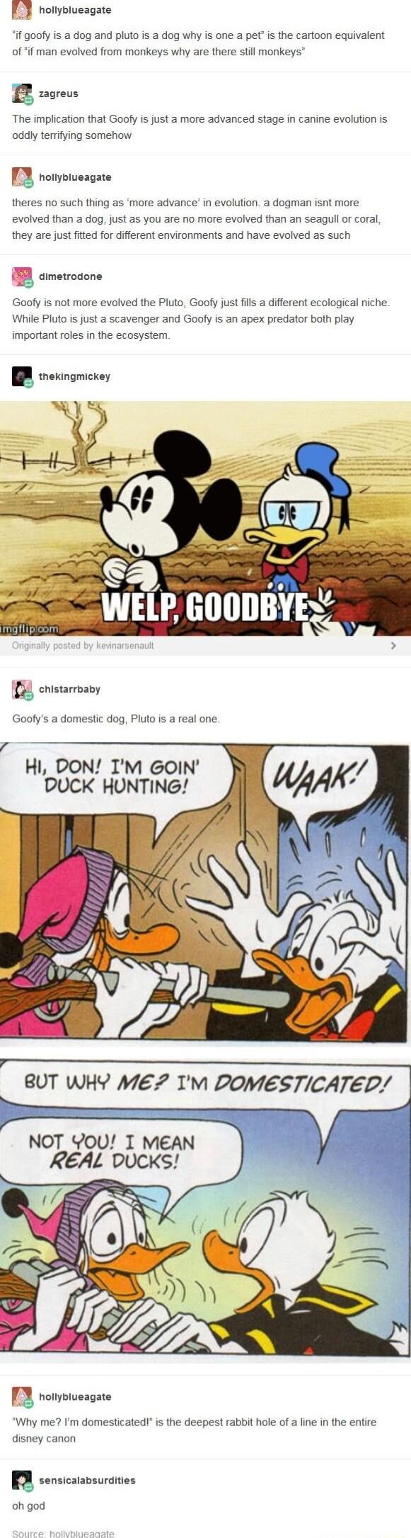 hollyblueagate if goofy is a dog and piuto is a dog why is one a pet is the cartoon equivalent of if man evolved from monkeys why are there stll morkeys J The implication that Goofy i just a more advanced stage in canine evolution is oddly terrifying somehow I3 rompiesgae theres no such thing as more advance in evolution 2 dogman isnt more evolved than dog just as you are no more evolved than an s