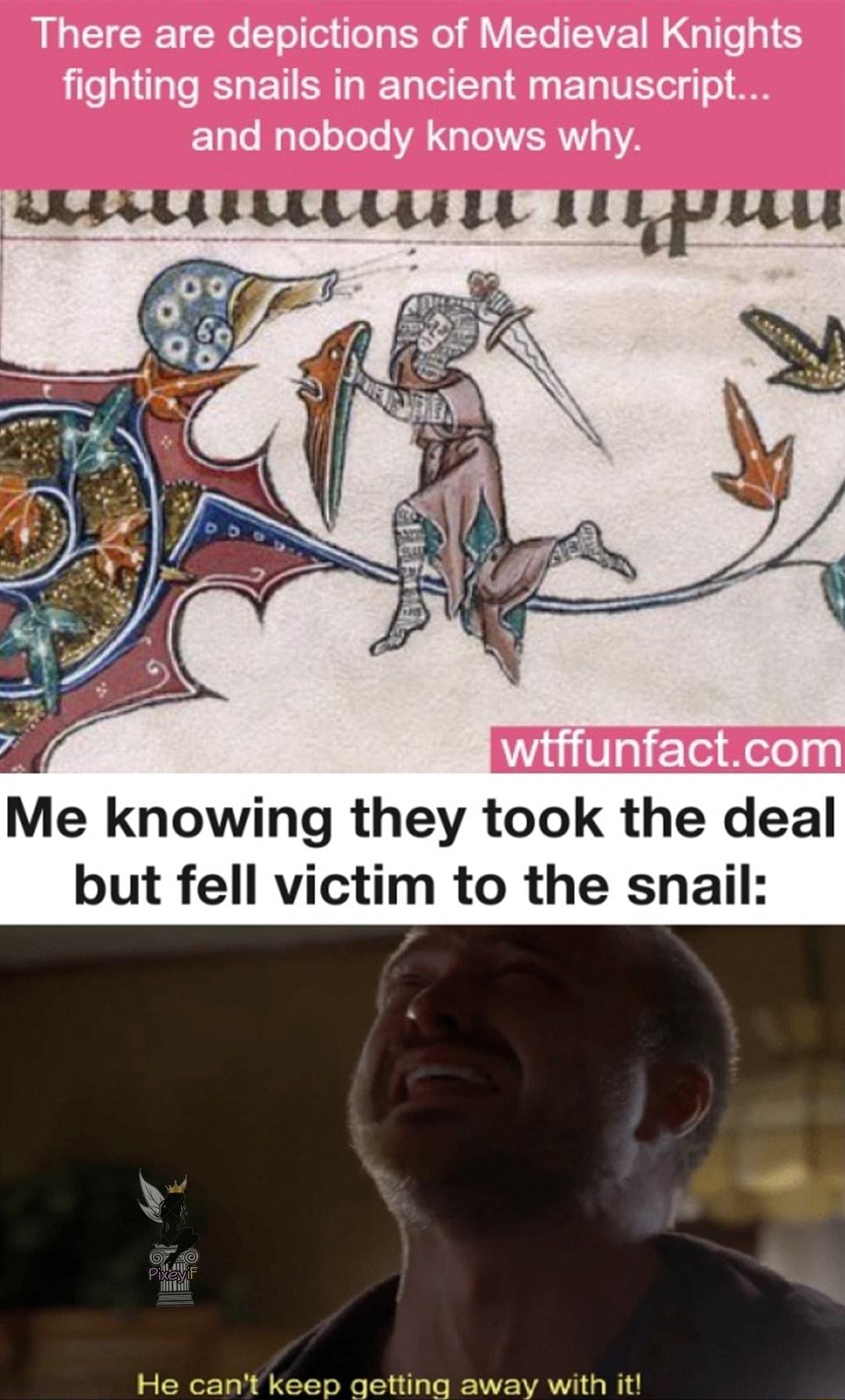 There are depictions of Medieval Knights fighting snails in ancient manuscript and nobody knows why e ffunfactcom Me knowing they took the deal but fell victim to the snail He cant keep getting away with it