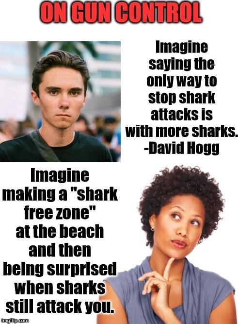 L R R Imagine only way to i stop shark o attacks is NI N With more sharks David Hogg Imagine making a shark free zone o atthe beach