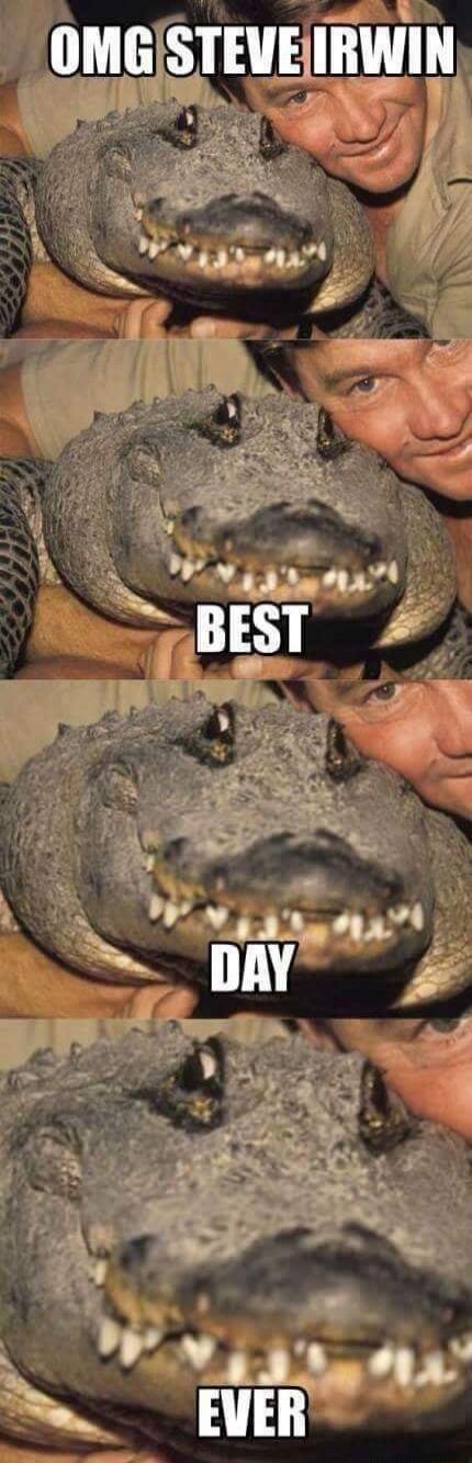 OMG STEVE IRWIN BEST DAY EVER