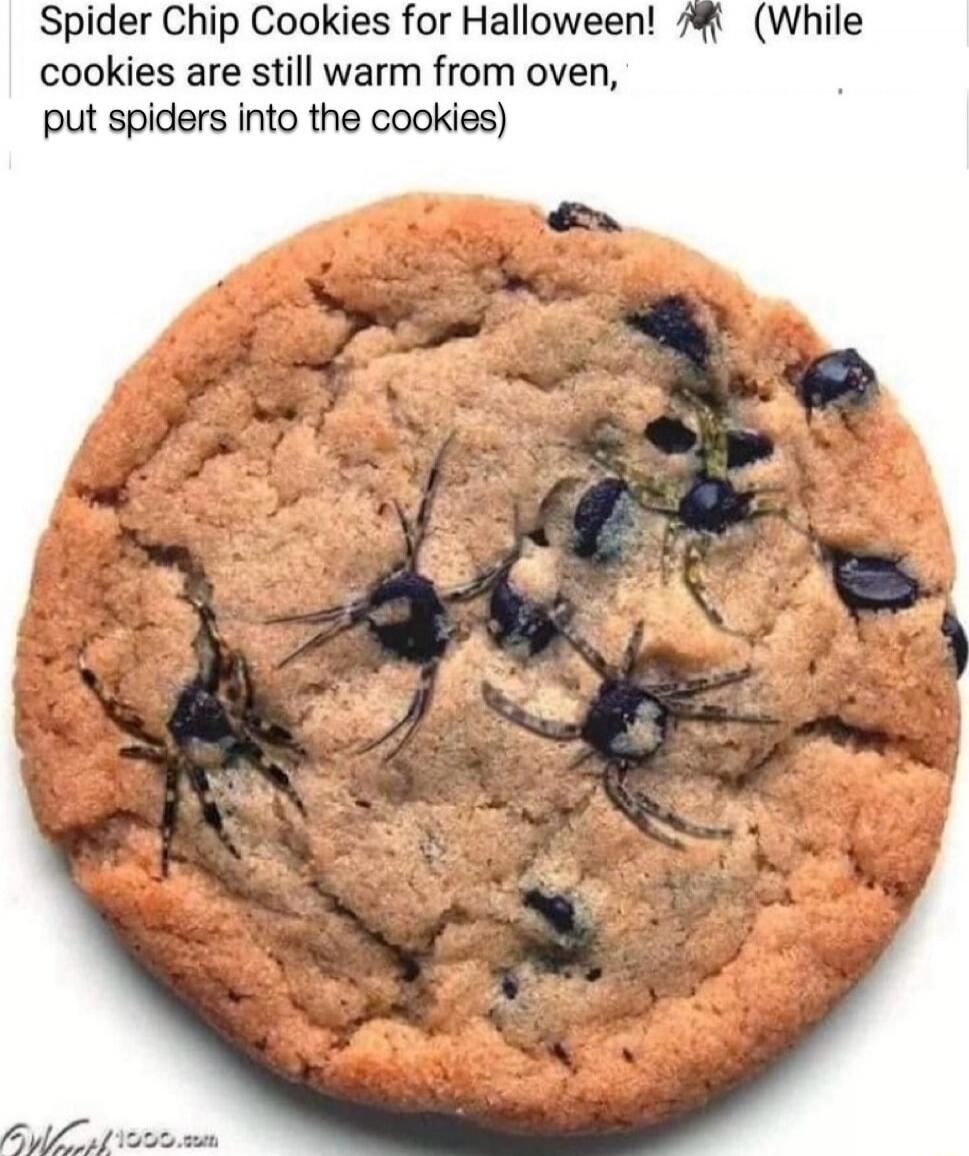 Spider Chip Cookies for Halloween! 🕷️ (While cookies are still warm from oven, put spiders into the cookies)