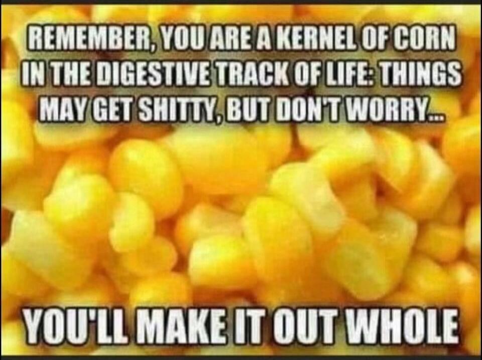 REMEMBER, YOU ARE A KERNEL OF CORN IN THE DIGESTIVE TRACK OF LIFE: THINGS MAY GET SHITTY, BUT DON'T WORRY... YOU'LL MAKE IT OUT WHOLE