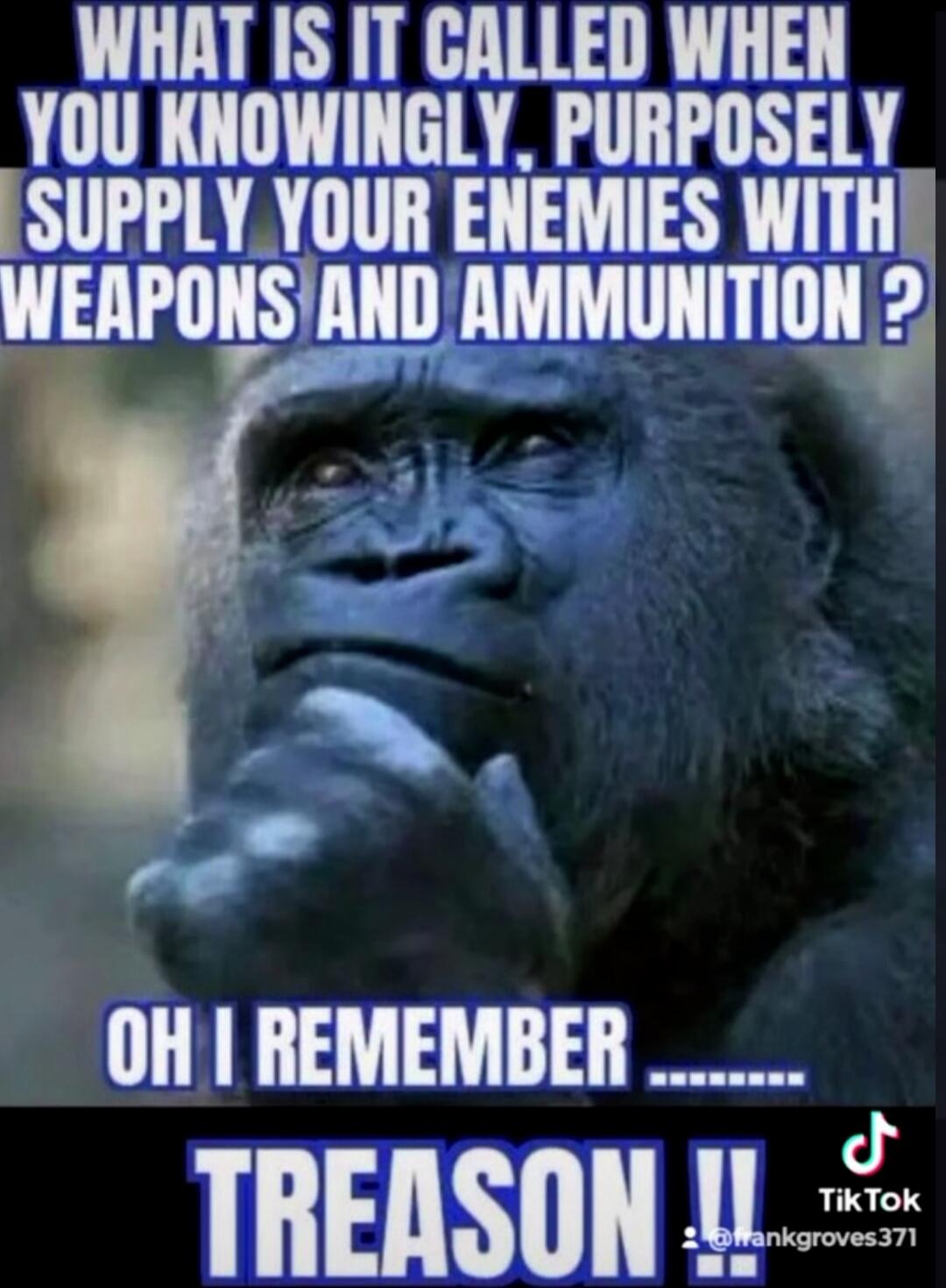 WHAT IS IT CALLED WHEN YOU KNOWINGLY, PURPOSELY SUPPLY YOUR ENEMIES WITH WEAPONS AND AMMUNITION ? OH I REMEMBER ....... TREASON