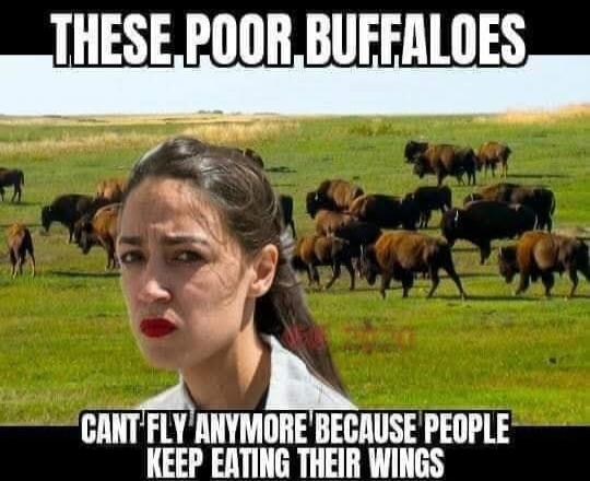 THESE POOR BUFFALOES CANT FLY ANYMORE BECAUSE PEOPLE KEEP EATING THEIR WINGS