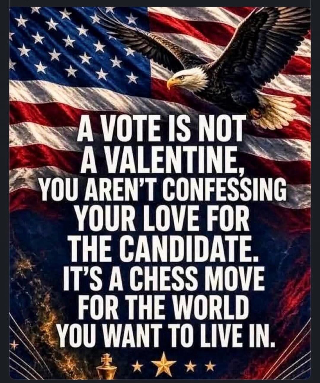 A VOTE IS NOT A VALENTINE, YOU AREN'T CONFESSING YOUR LOVE FOR THE CANDIDATE. IT'S A CHESS MOVE FOR THE WORLD YOU WANT TO LIVE IN.