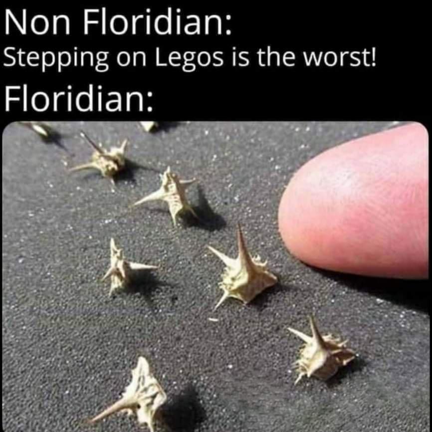 eaWlegle ok Stepping on Legos is the worst Floridian