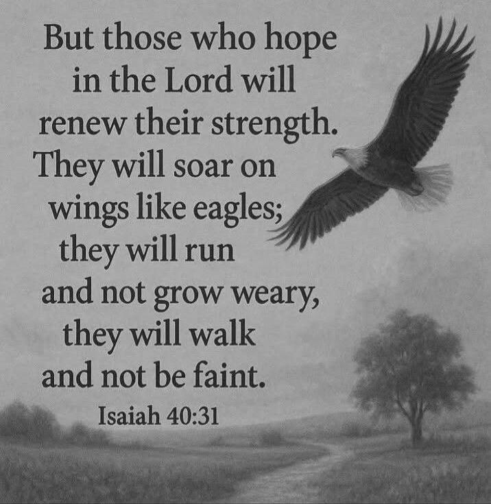 But those who hope in the Lord will renew their strength. They will soar on wings like eagles; they will run and not grow weary, they will walk and not be faint. Isaiah 40:31