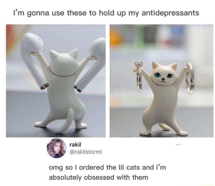 Im gonna use these to hold up my antidepressants rakil rakiistormi omg so ordered the il cats and Im absolutely obsessed with them