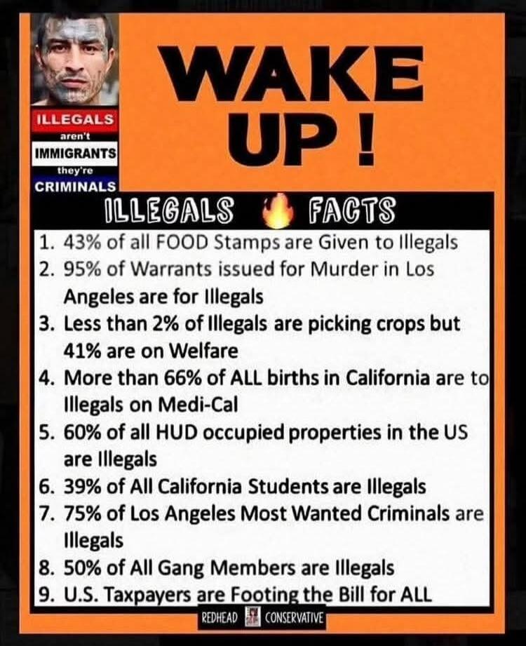 WAKE UP! ILLEGALS FACTS 1. 43% of all FOOD Stamps are Given to Illegals 2. 95% of Warrants issued for Murder in Los Angeles are for Illegals 3. Less than 2% of Illegals are picking crops but 41% are on Welfare 4. More than 66% of ALL births in California are to Illegals on Medi-Cal 5. 60% of all HUD occupied properties in the US are Illegals 6. 39%