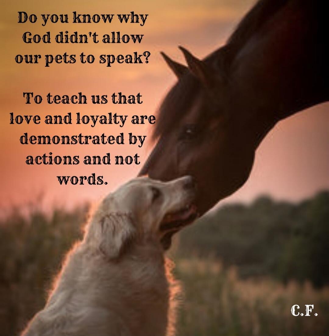 Do you know why God didn't allow our pets to speak? To teach us that love and loyalty are demonstrated by actions and not words.
C.F.