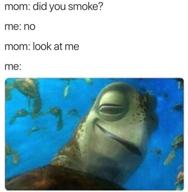 mom did you smoke me No mom look at me