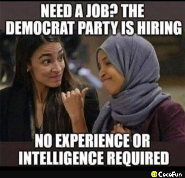 NEED A JOB? THE DEMOCRAT PARTY IS HIRING NO EXPERIENCE OR INTELLIGENCE REQUIRED