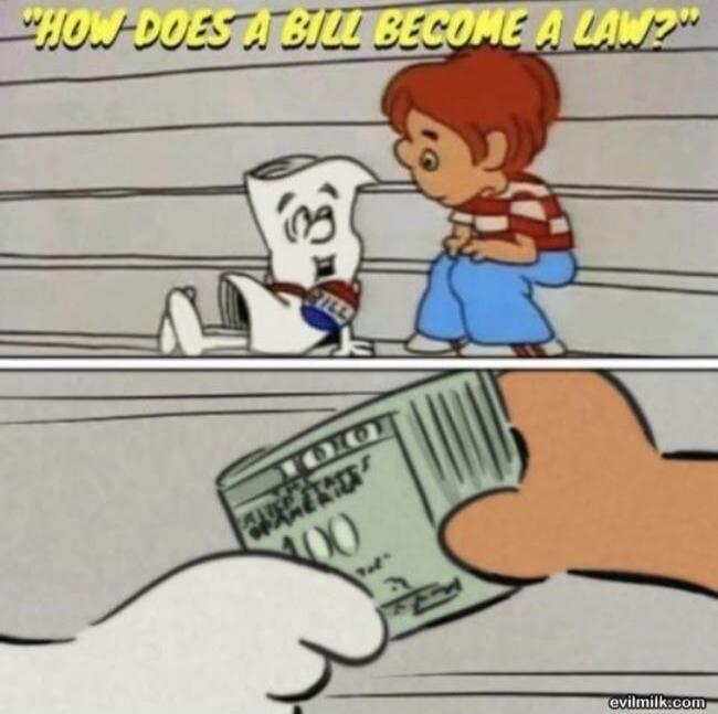 HOW DOES A BILL BECOME A LAW?