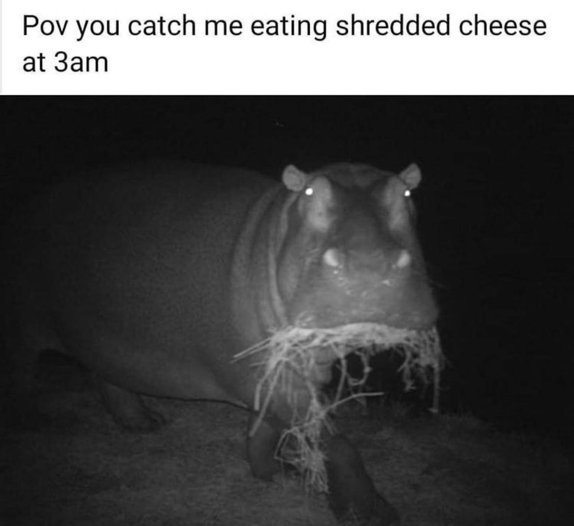 Pov you catch me eating shredded cheese at 3am