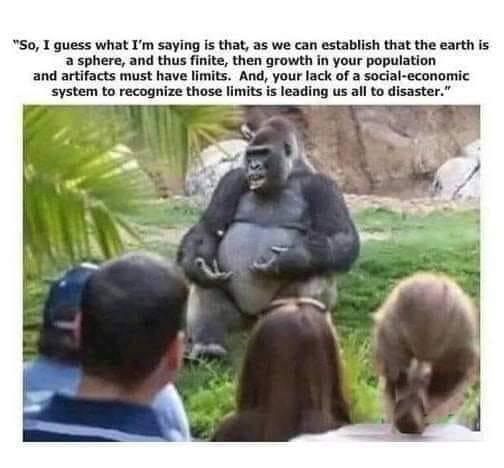 So 1 guess what Im saying is that as we can establish that the earth is a sphere and thus finite then growth in your population and artifacts must have limits And your lack of a social economic system to recognize those limits is leading us all to disaster
