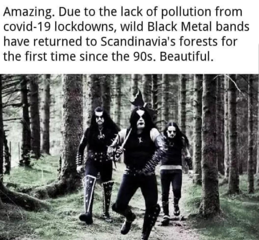 Amazing Due to the lack of pollution from covid 19 lockdowns wild Black Metal bands have returned to Scandinavias forests for the first time since the 90s Beautiful