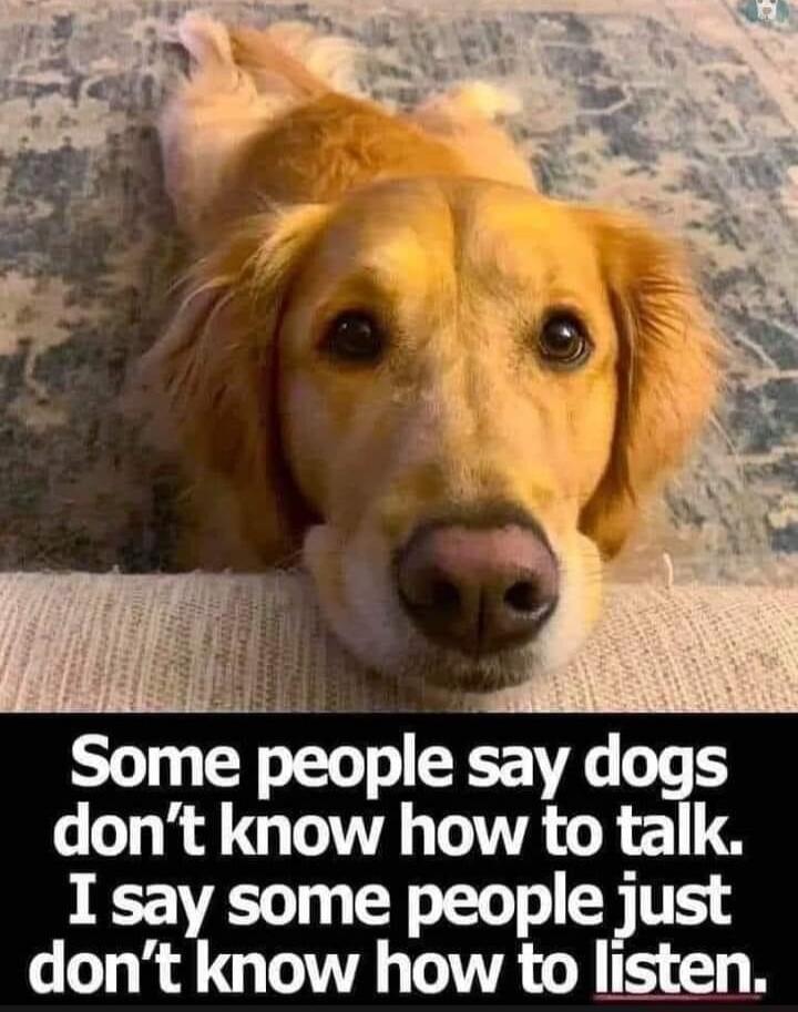 Some people say dogs don't know how to talk. I say some people just don't know how to listen.