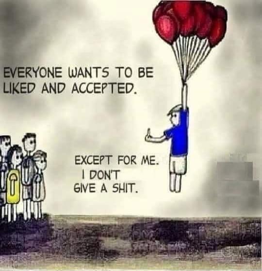 EVERYONE WANTS TO BE LIKED AND ACCEPTED. EXCEPT FOR ME. I DON'T GIVE A SHIT.