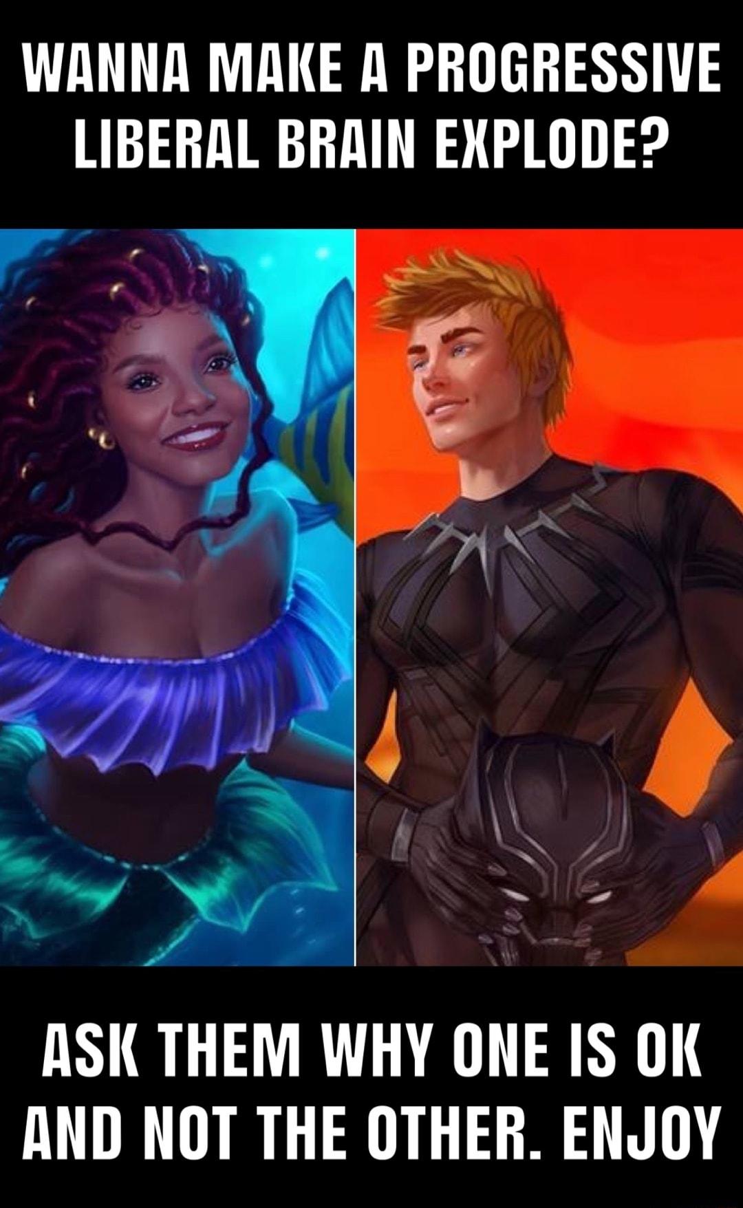 WANNA MAKE A PROGRESSIVE LIBERAL BRAIN EXPLODE ASK THEM WHY ONE IS OK AND NOT THE OTHER ENJOY