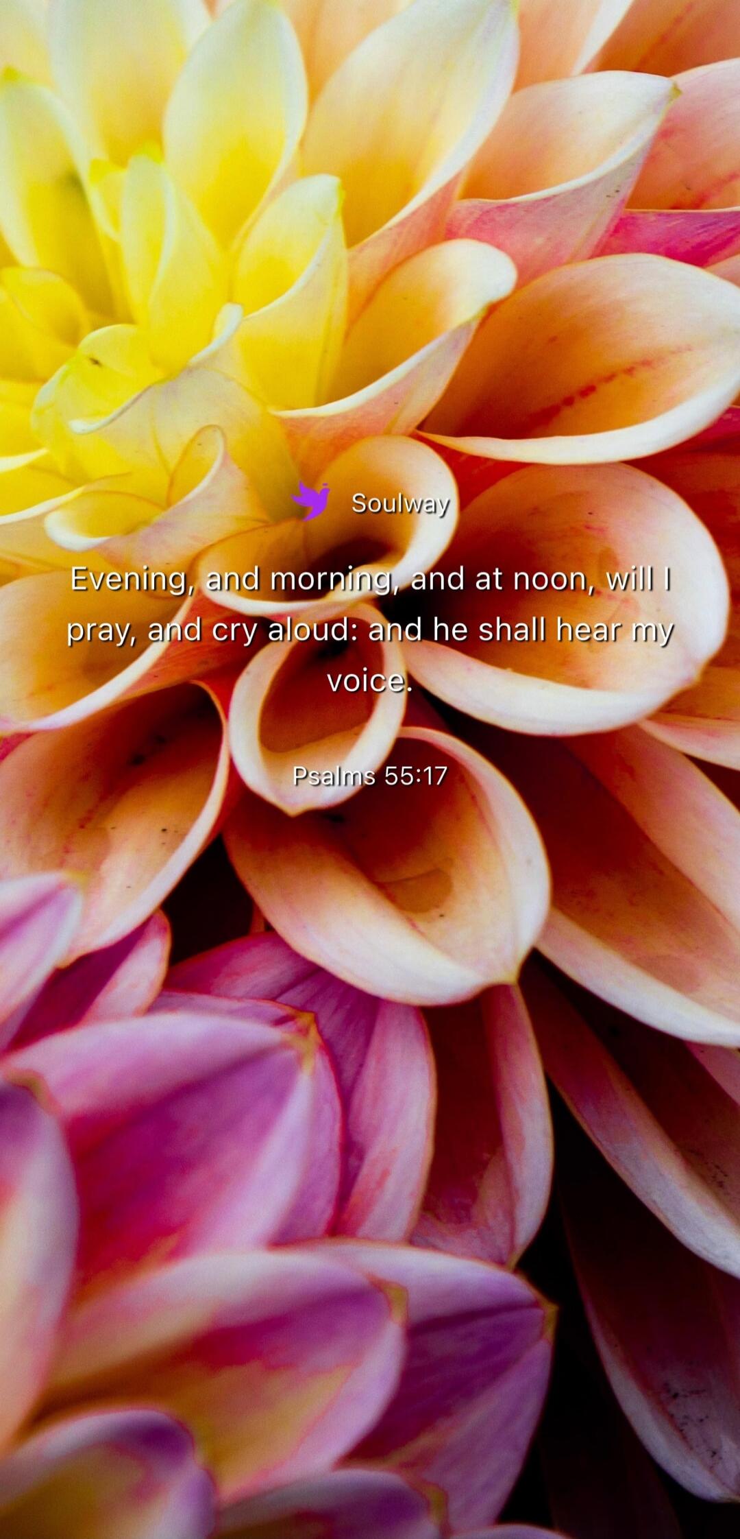 Soulway Evening, and morning, and at noon, will I pray, and cry aloud: and he shall hear my voice. Psalms 55:17