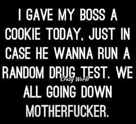 GAVE MY BOSS A COOKIE TODAY JUST IN CASE HE WANNA RUN A RANDOM DRJIG TEST WE ALL GOING DOWN MOTHERFUCKER