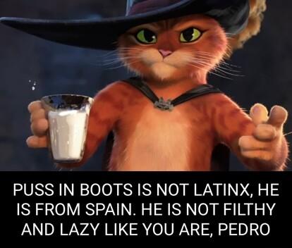 PUSS IN BOOTS IS NOT LATINX HE IS FROM SPAIN HE IS NOT FILTHY LNDAWVAGR R0V 5 he