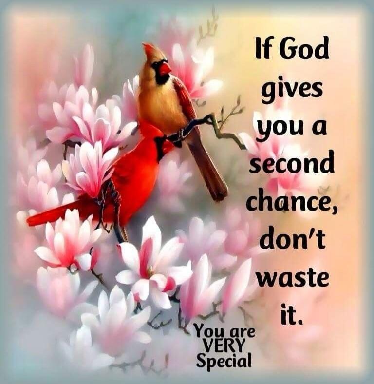 If God gives you a second chance, don't waste it. You are VERY Special