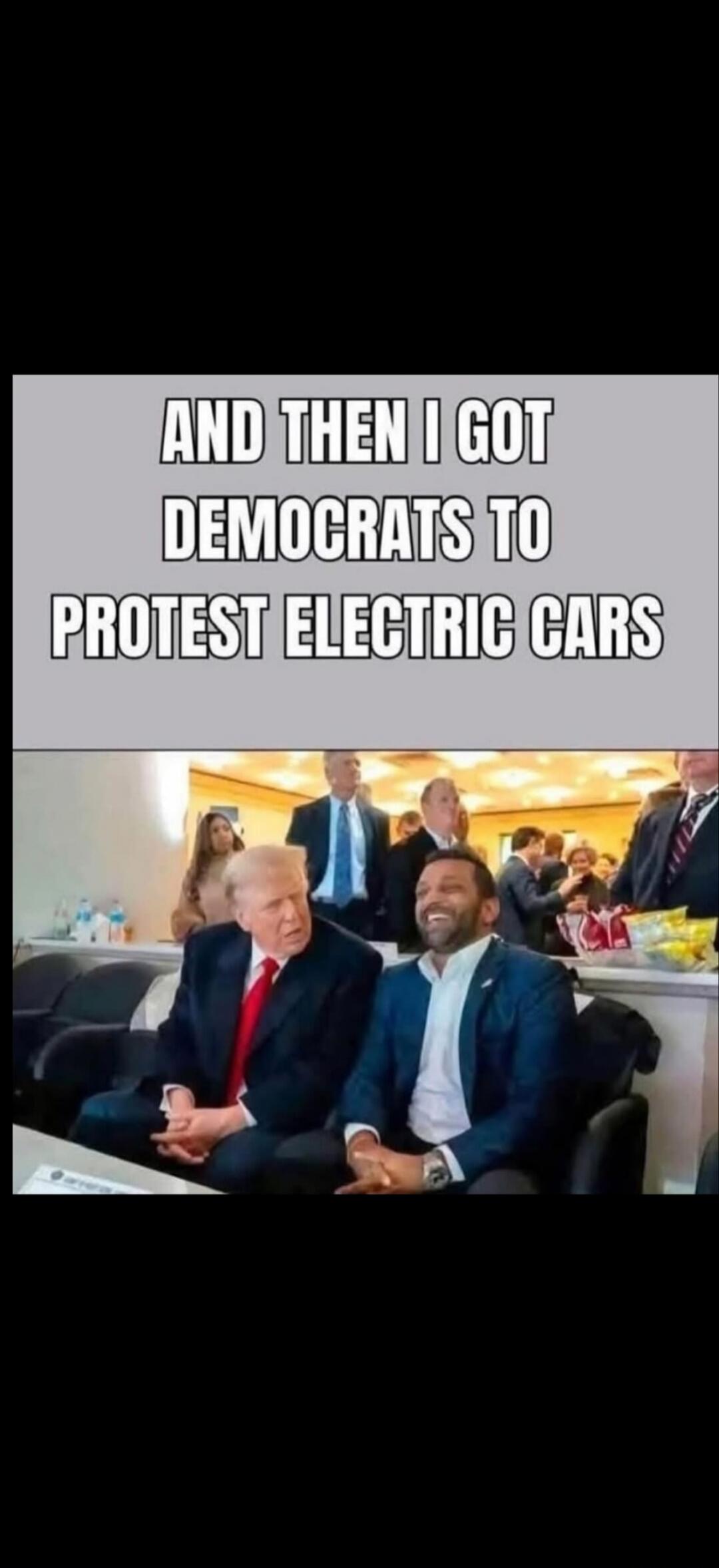 AND THEN I GOT DEMOCRATS TO PROTEST ELECTRIC CARS