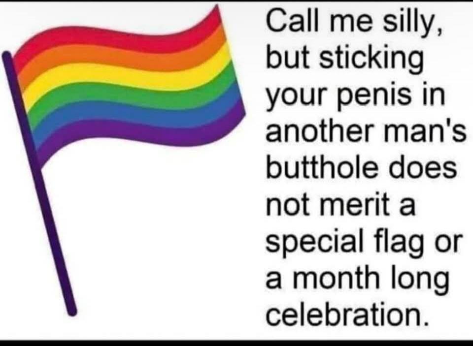 Call me silly, but sticking your penis in another man's butthole does not merit a special flag or a month long celebration.
