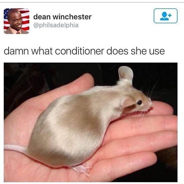 dean winchester damn what conditioner does she use