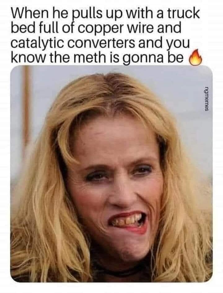 When he pulls up with a truck bed full of copper wire and catalytic converters and you know the meth is gonna be 🔥 ngmemes