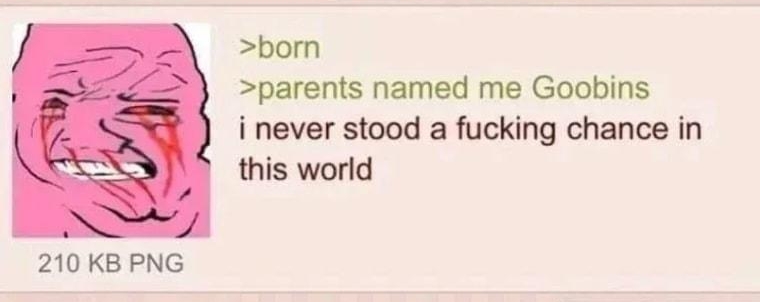 Anonymous 022522Fri191619 No6757685 born parents named me Goobins i never stood a fucking chance in this world 210 KB PNG 14 Replies 2 Imaaes View Thread