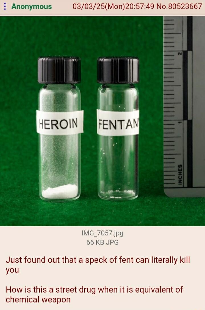 667 Anonymous 030325Mon205749 No80 Just found out that a speck of fent can literally kill you How is this a street drug when it is equivalent of chemical weapon