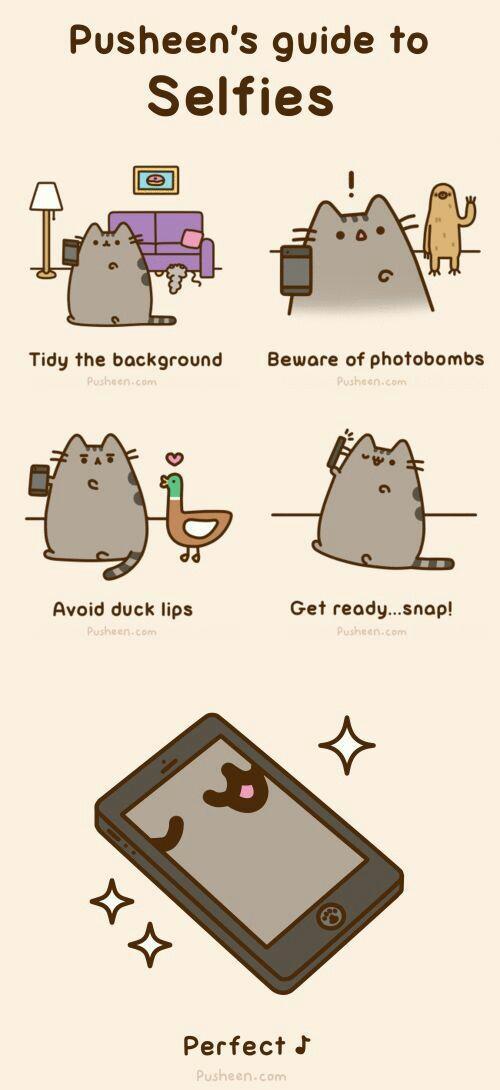 Pusheens guide to Selfies Tidy the background Beware of photobombs Avoid duck lips Get readysnap i Perfect