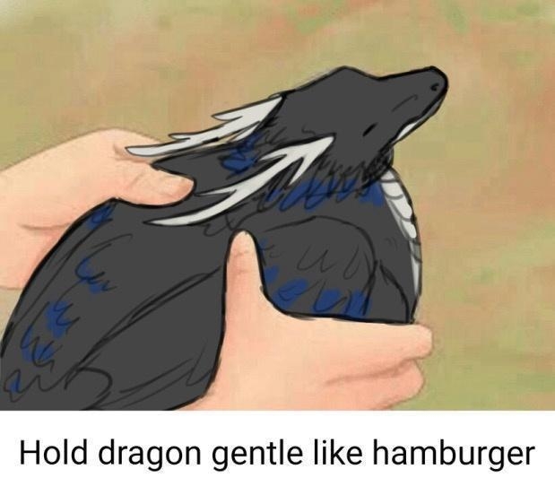 Hold dragon gentle like hamburger