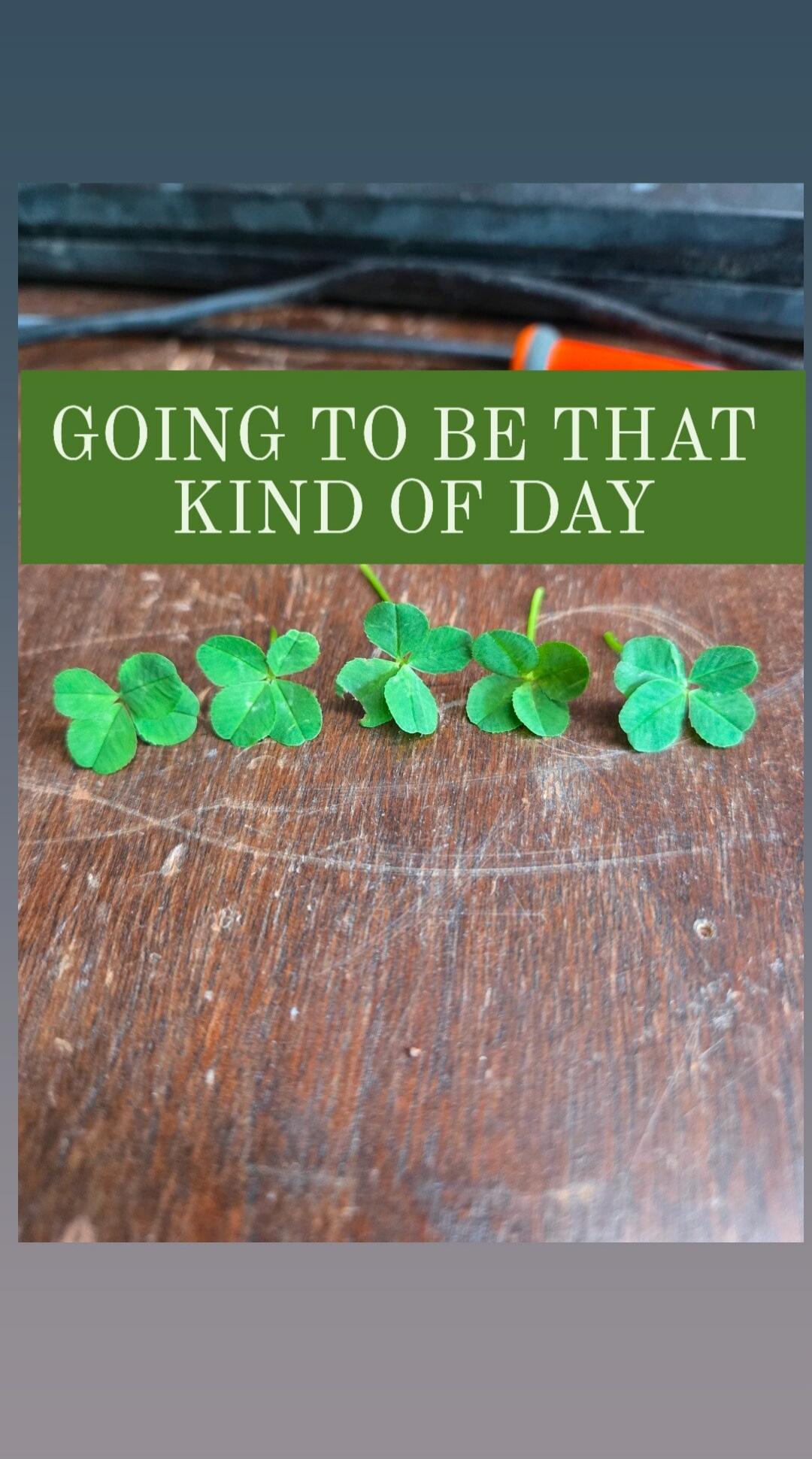 GOING TO BE THAT KIND OF DAY