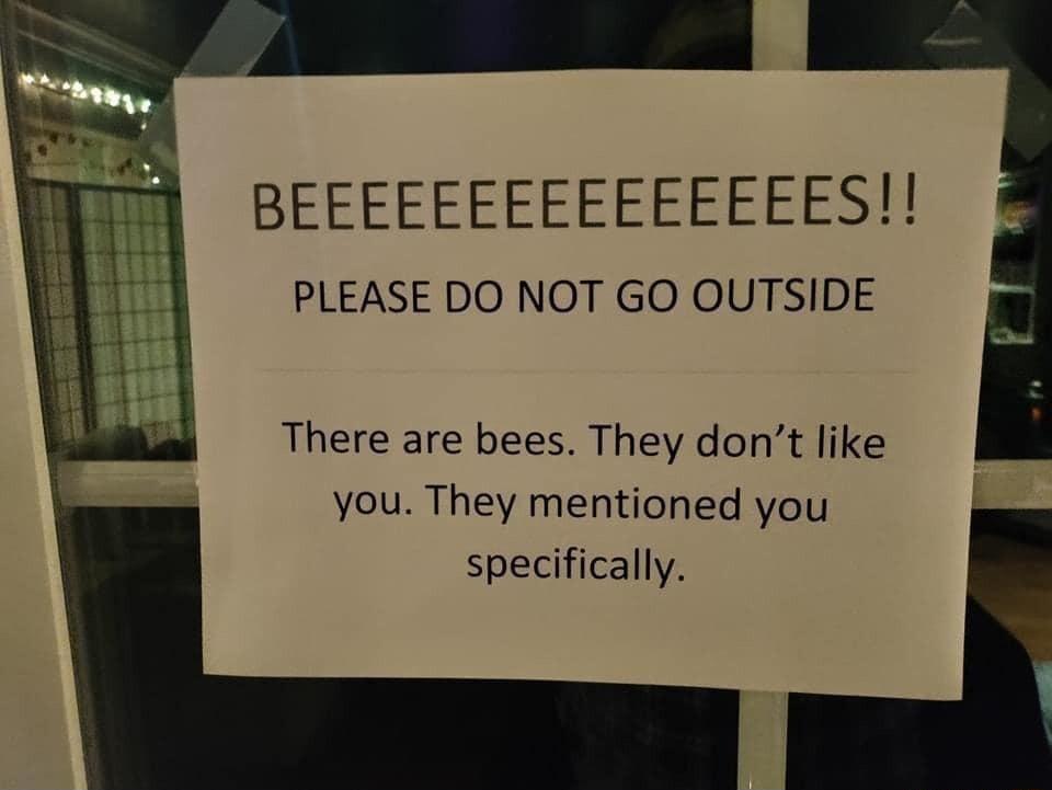 BEEEEEEEEEEEEEEES PLEASE DO NOT GO OUTSIDE There are bees They dont like you They mentioned you specifically