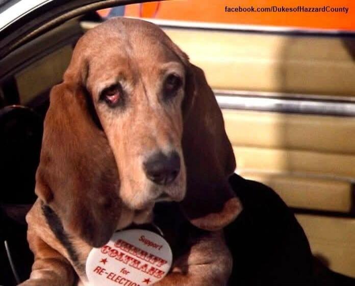 facebook.com/DukesofHazzardCounty Support SHERIFF COLTRANE for RE-ELECTION